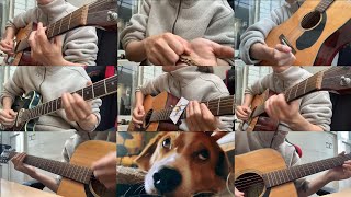 quotHomequot Guitar  Everything Else Cover WITH DOG [upl. by Etnovad71]