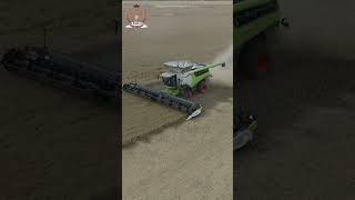 Drone Footage Epic Harvesting Action with Combines and Grain Carts [upl. by Neraa]