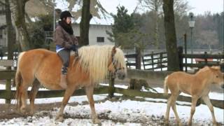 Pony Park Ostern 2013 [upl. by Annaek]