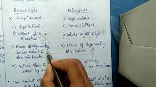 BRACHIOPODS VS PELCYPODS  DIFFERERNCES HINDI [upl. by Sharia831]