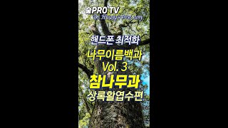 나무이름백과 Vol 3 참나무과 상록활엽수편 [upl. by Wershba]