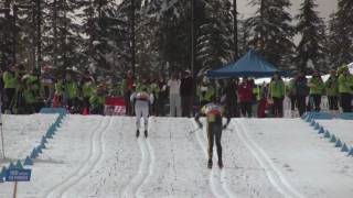 Nordic Skiing Technique  Double Poling [upl. by Kelli796]