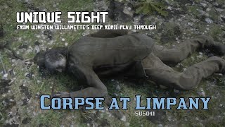 Corpse at Limpany  Unique Sight RDRII [upl. by Saile]