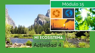 Actividad 4 Semana 3 Módulo 15  Mi ecosistema [upl. by Yecaw581]