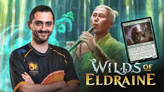 Can GW Enchantments Take Over Wilds of Eldraine Standard [upl. by Aihcela]