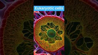 The hidden secrets of the eukaryotic cell  Revealing the mysteries of eukaryotic cells [upl. by Cy]