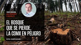 El bosque que se pierde la CDMX en peligro Por Alejandro Calvillo  Video columna [upl. by Anoid]