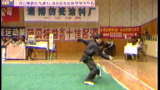 Wang Er Ping Dao Shu Henan Wushu Championships 1989 [upl. by Neellok297]