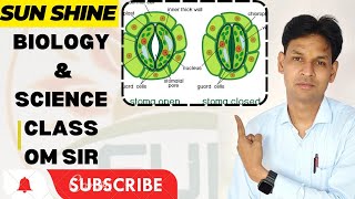 STOMATA Science Class 10 scienceworld sciencelab cbseboard sunshine class9science [upl. by Rew465]