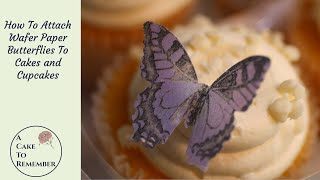 How to attach wafer paper butterflies to a cake simple cake decorating tips [upl. by Lilli]