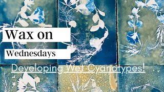 Wax on Wednesdays Developing Wet Cyanotypes [upl. by Aissilem]