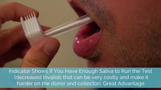 Oratect Saliva Drug Test Kit Product Demonstration [upl. by Hamachi924]