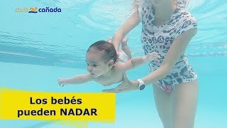 ¡Los BEBÉS pueden NADAR [upl. by Enair598]