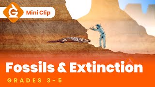 Types of Fossils  Fossil Imprint Activity [upl. by Anitnuahs]