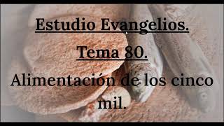 La alimentación de los cinco mil  Estudio Evangelios [upl. by Adamo540]