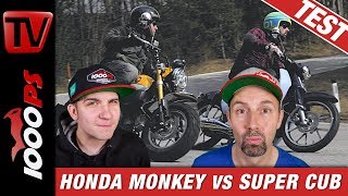 Honda Monkey vs Super Cub  welches 125erFunbike hat den besseren Style [upl. by Eilrac745]