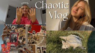 robimy paznokcie scrapbook jedziemy wybiegać psa  CHAOTIC VLOG [upl. by Phionna]