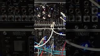 Bits amp Pings synth modularsynth eurorack [upl. by Wettam]