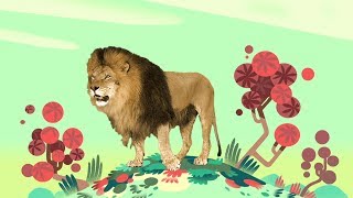 Animal Songs quotYou Gotta Love a Lionquot by StoryBots  Netflix Jr [upl. by Groves639]