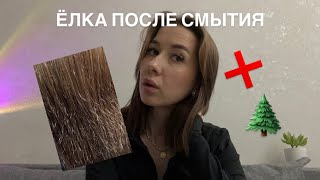 5 ПРИЧИН ЕЛКИ ПОСЛЕ КЕРАТИНА 🌲 Как получить идеал после смытия [upl. by Abran]