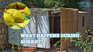 The Hut  Etrog  Sukkot Explained [upl. by Niak]