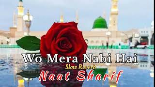 Wo Mera Nabi Hai Slow Reverb Naat Syed Hassan Ullah Hussani  Lofi Naat2024 [upl. by Aicia713]