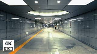 【Labyrinth】Shinjuku Terminal and Surrounding Underground Passage Tokyo Japan  4K HDR [upl. by Swanhildas]