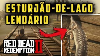 RED DEAD REDEMPTION 2  ESTURJÃODELAGO LOCALIZAÇÃO E PESCA DE PEIXES LENDÁRIOS  RDR2 100 [upl. by Rehpretsirhc551]