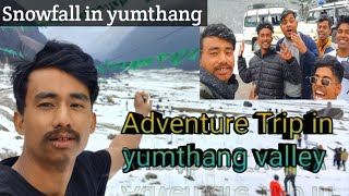 Adventure Trip In Yumthang Valley  Snowfall In Yumthang Valley [upl. by Luapnaej506]