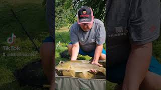 Mon premier barbeaux daujourdhui fishing fyp [upl. by Norvan]