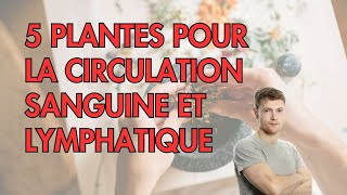 5 PLANTES pour la circulation SANGUINE et LYMPHATIQUE [upl. by Vaclava]