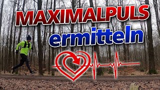 Maximalpuls ermitteln im Selbsttest [upl. by Berta]