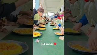 Madrasa Life ♥️  islamicquotes madrasalife alihossainvlogs urdunaat [upl. by Lentha]