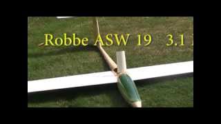 Robbe ASW19 Glider [upl. by Kolivas]