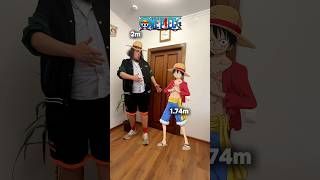 ⚡️ONE PIECE  HEIGHT comparison part 1 [upl. by Ayaj366]