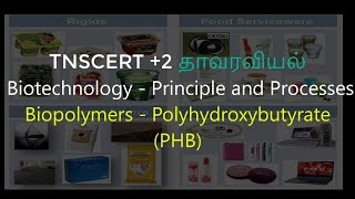 43Botany  Biotechnology  Principle and Processes  Biopolymers PolyhydroxyButyrate PHB [upl. by Rosie]