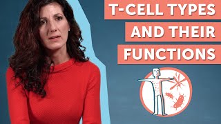 IMMUNOLOGICAL MEMORY MEMORY B CELLS AND MEMORY T CELLS EXPLAINED [upl. by Wickner]