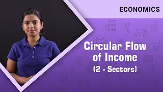 Circular flow of income Circular flows in 2 sector 3 sector 4 sector economies macro economics [upl. by Arihsak66]