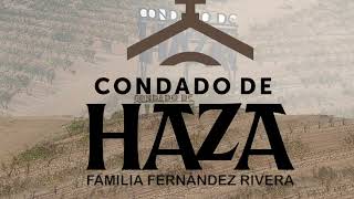 Condado haza [upl. by Kizzie]