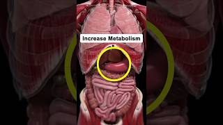 6 Ways to Increase your Metabolism  Health Tips shorts [upl. by Lindblad]