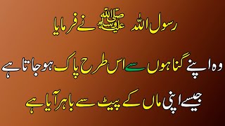 wadhu ke fazeelat  Hadith On Gunah  Hadees e Pak [upl. by Tloc]