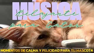 Paz y Sueños para Gatos 🐱 Música Reparadora para el Bienestar de tu Gatito [upl. by Necila]