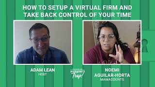 How to Setup a Virtual Firm and Take Back Control of Your Life [upl. by Dalohcin]