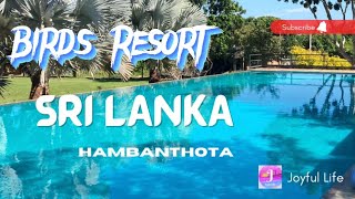 Birds Resort Hambantota SriLanka🇱🇰හම්බන්තොට යන්නම ඕනි තැනක් hotels srilanka hambantota [upl. by Zea765]