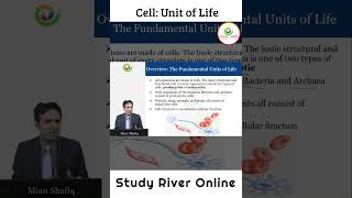 Cell Biology  Biology  General Science  Study River  Mian Shafiq [upl. by Yracaz]