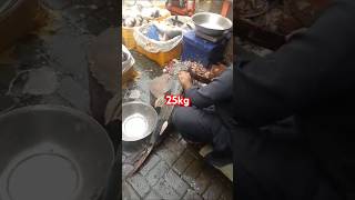 25 Kg Goonch Catfish Cutting Skills In Fish Market fishcutting fishing food freshwaterfish [upl. by Nadabus]