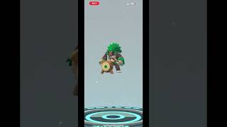 Evolving dynamax Thwackey into dynamax Rillaboom pokemongo pokemon [upl. by Ackley]