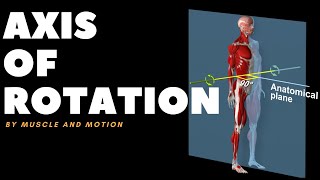 Understanding Axes of MovementRotation [upl. by Wendeline]