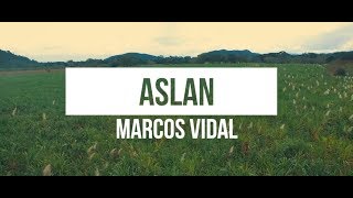 Marcos Vidal  Aslan Video Lyrics Oficial [upl. by Miahc]