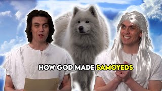 God Makes Samoyeds [upl. by Anahc691]